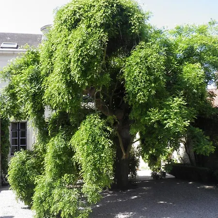 Le Sophora 3* Guînes