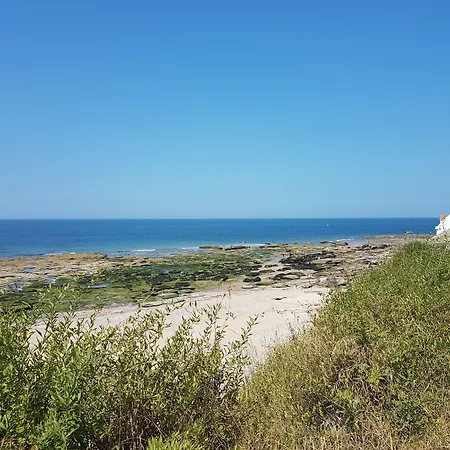 Le Sophora グイネス