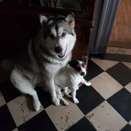 Le Sophora 3* グイネス