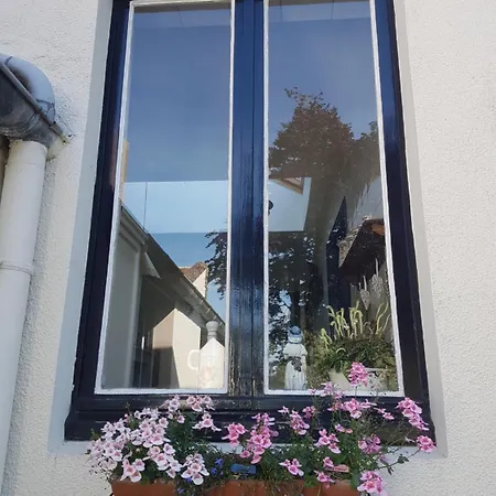 Le Sophora ゲストハウス