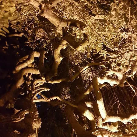 Le Sophora Maison d'hôtes 3*