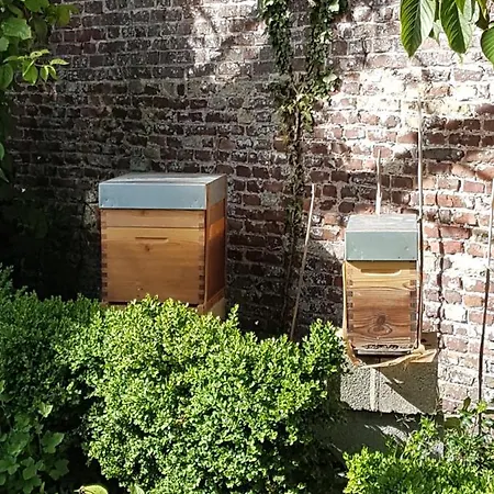Maison d'hôtes Le Sophora 3*